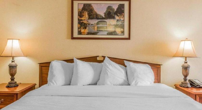 Rodeway Inn Sylacauga Hwy 280 Екстериор снимка